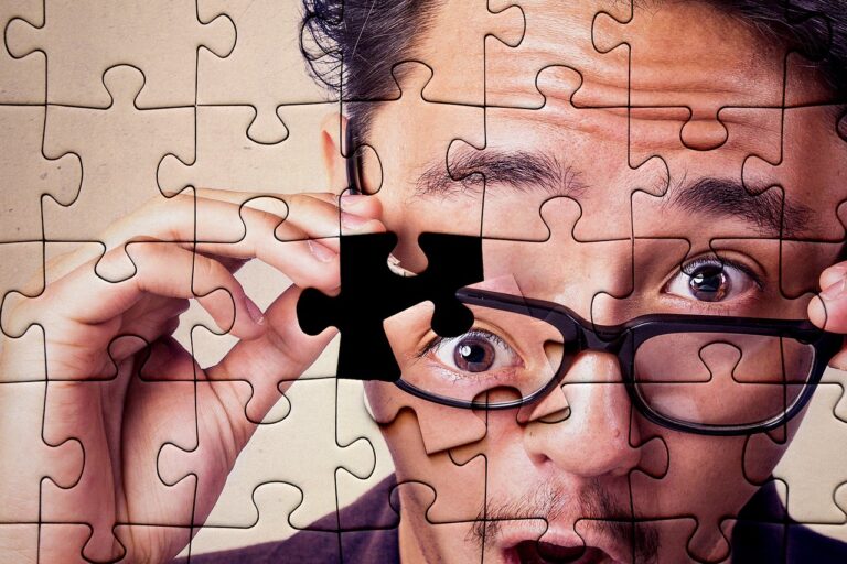 project execution gaps